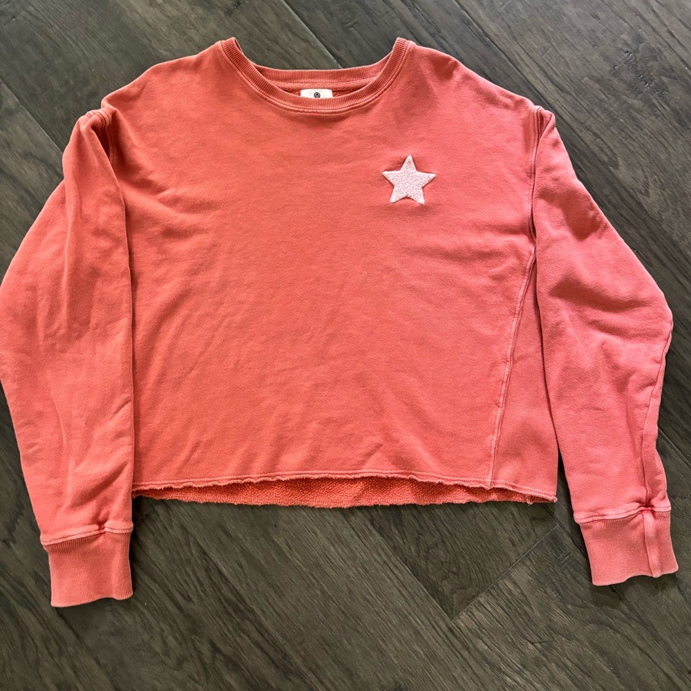 Sundry Burnt Orange Cropped Sweatshirt